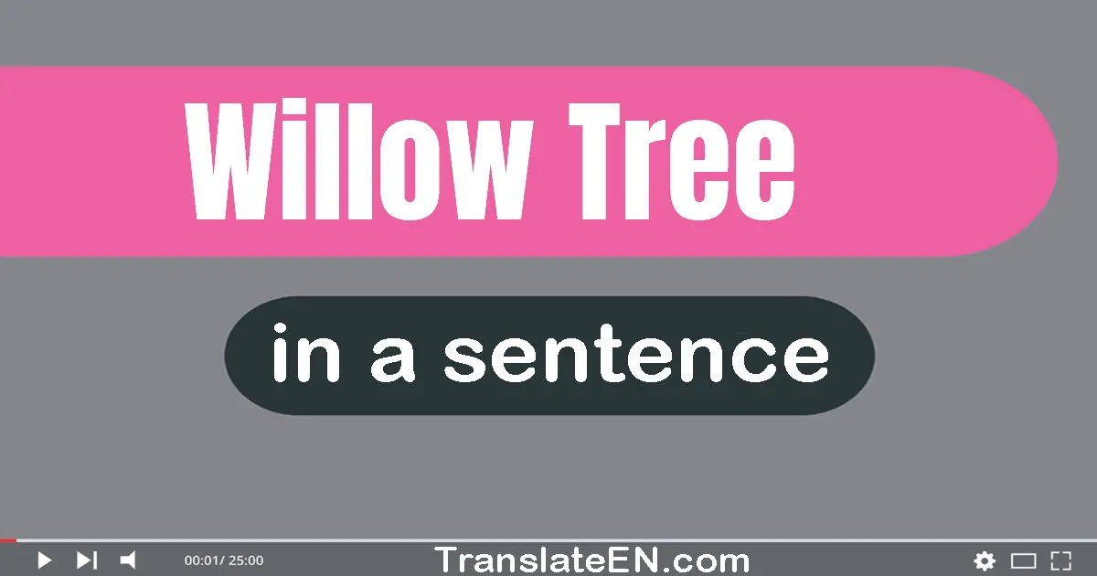 Willow Tree in a sentence