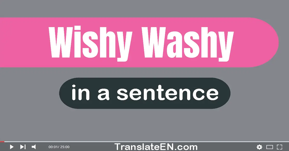 Use "wishy-washy" in a sentence | "wishy-washy" sentence examples
