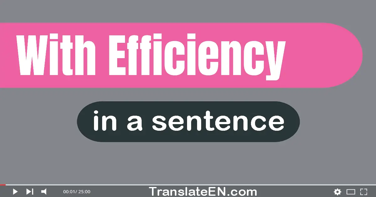 Use "with efficiency" in a sentence | "with efficiency" sentence examples