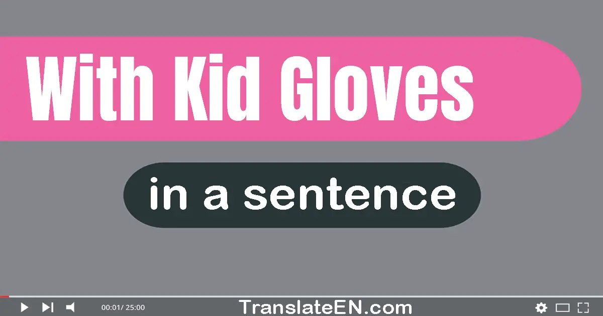 Use "with kid gloves" in a sentence | "with kid gloves" sentence examples