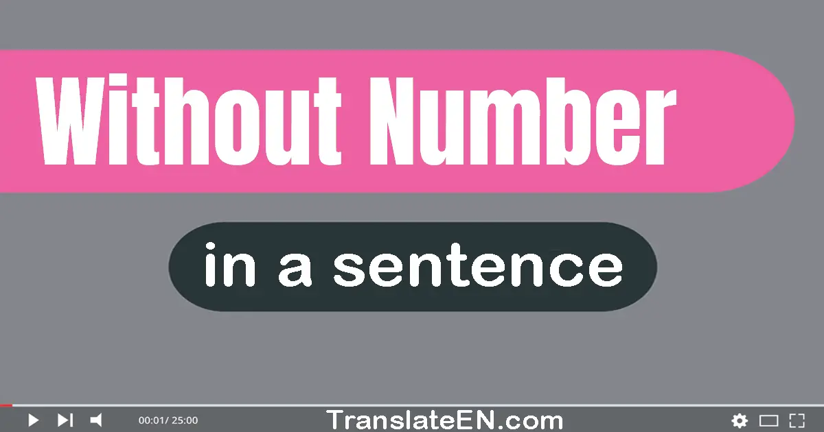 Without Number in a sentence