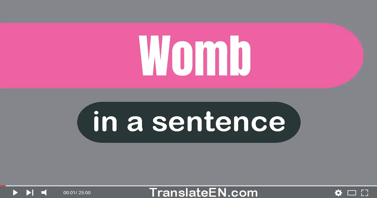 Womb in a sentence