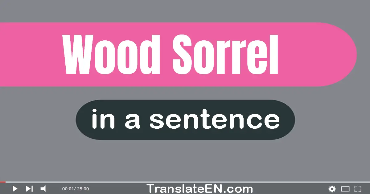 Wood Sorrel in a sentence