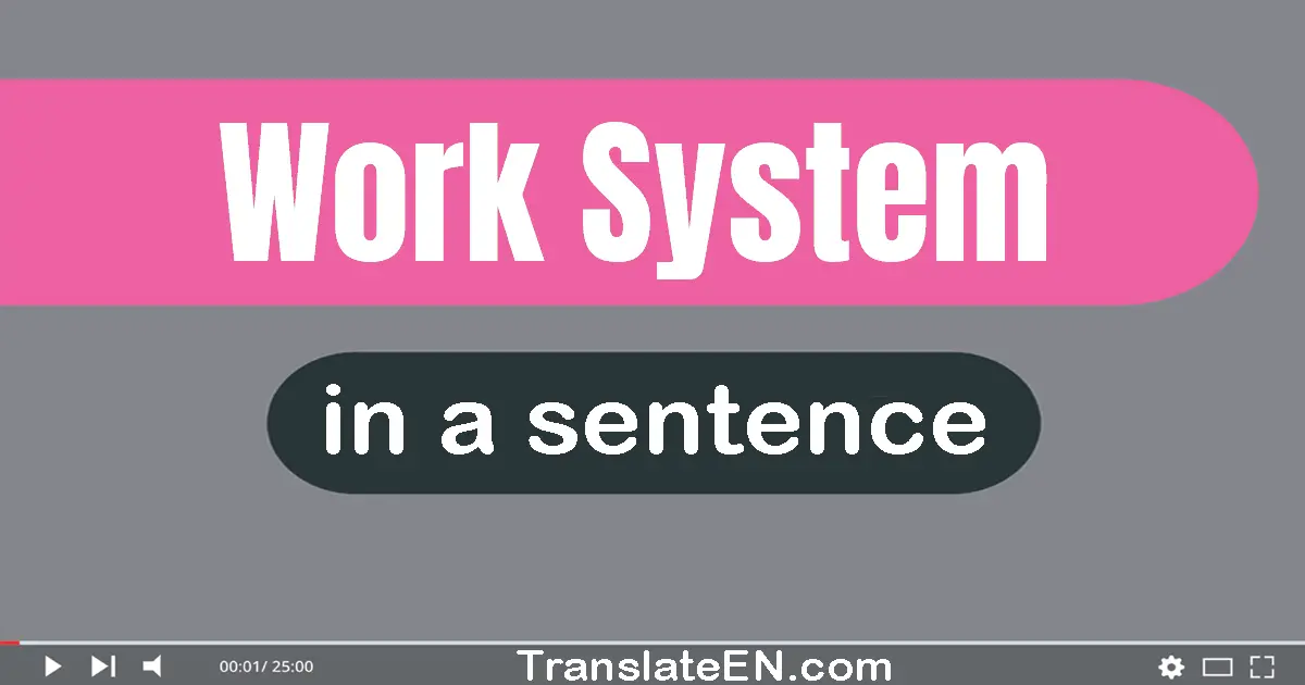 Use "work system" in a sentence | "work system" sentence examples