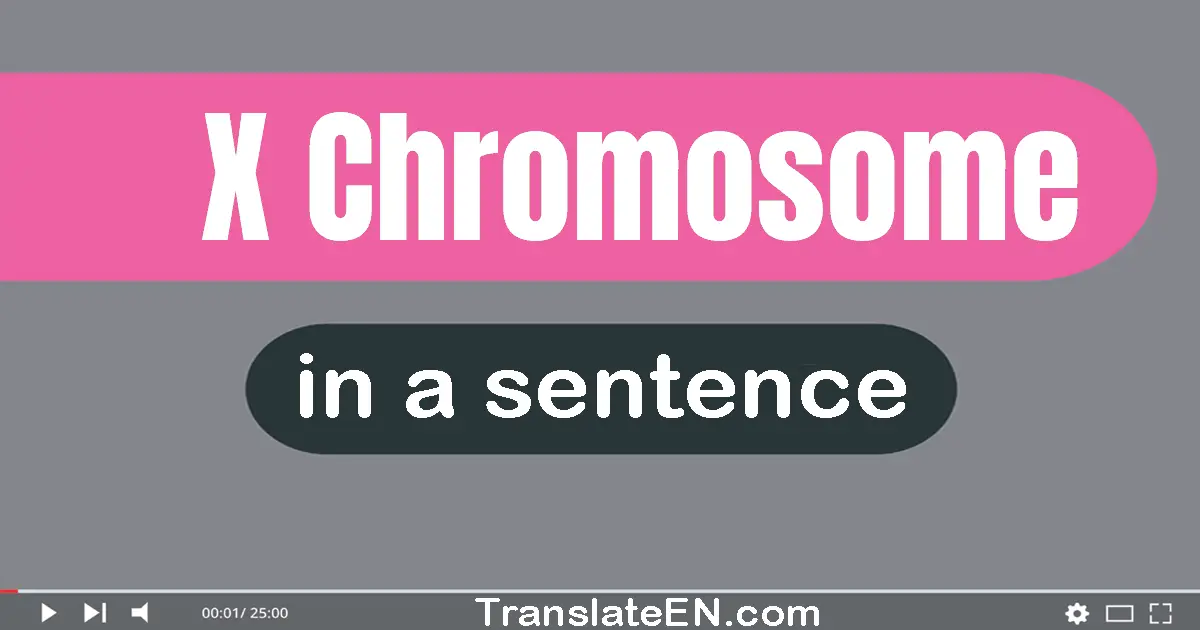 Use "x chromosome" in a sentence | "x chromosome" sentence examples