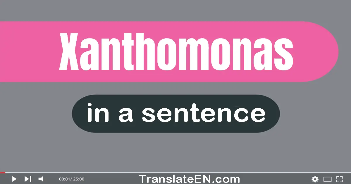 Use "xanthomonas" in a sentence | "xanthomonas" sentence examples