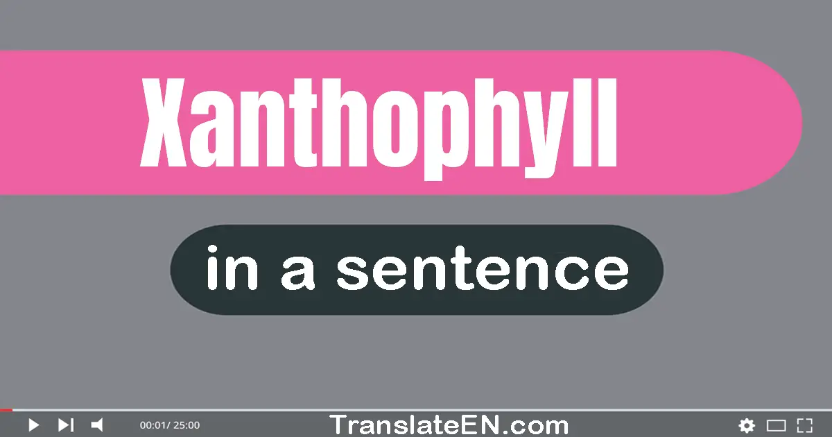 Use "xanthophyll" in a sentence | "xanthophyll" sentence examples