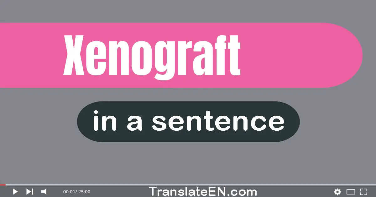 Use "xenograft" in a sentence | "xenograft" sentence examples