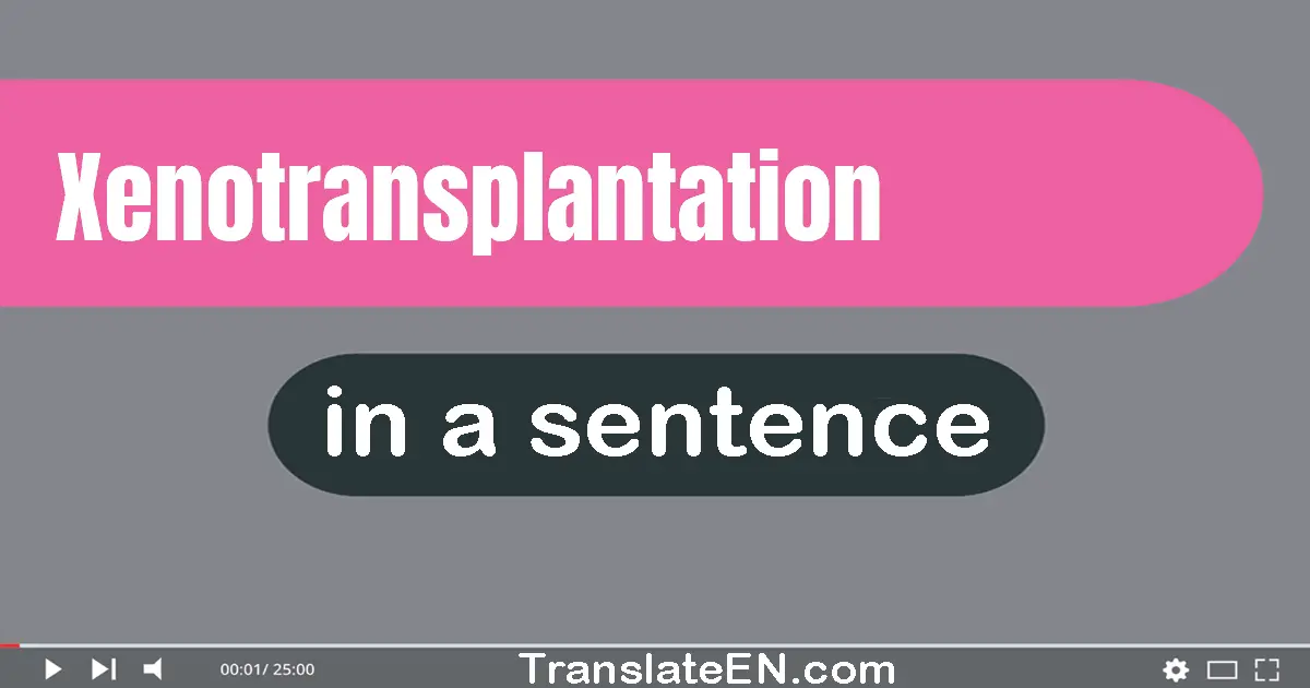 Use "xenotransplantation" in a sentence | "xenotransplantation" sentence examples