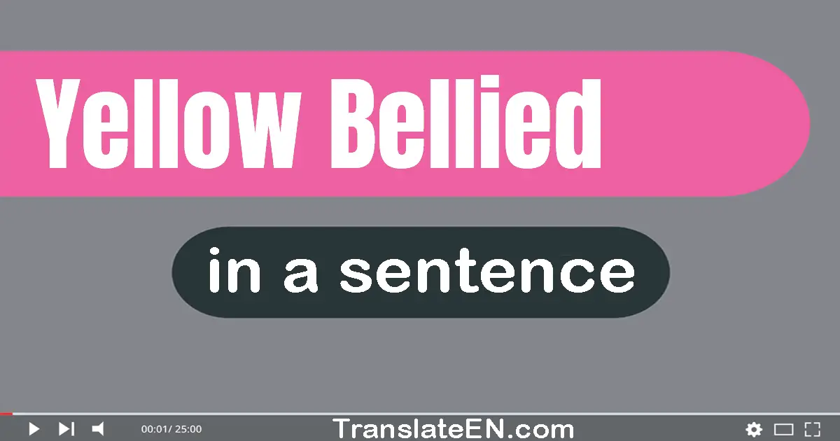 Yellow-bellied in a sentence