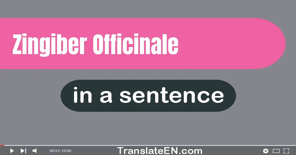 Zingiber Officinale in a sentence